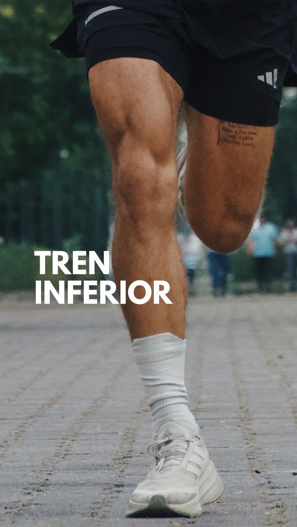 S1/Día 1 – Fuerza Tren Inferior