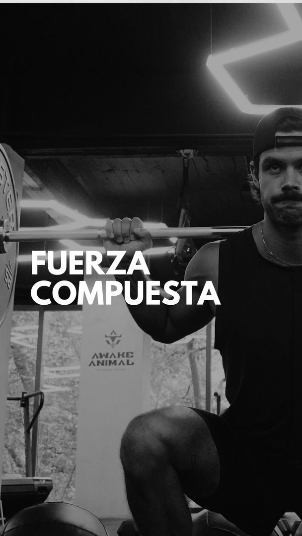 S1/Día 3 -Posterior + Plyo