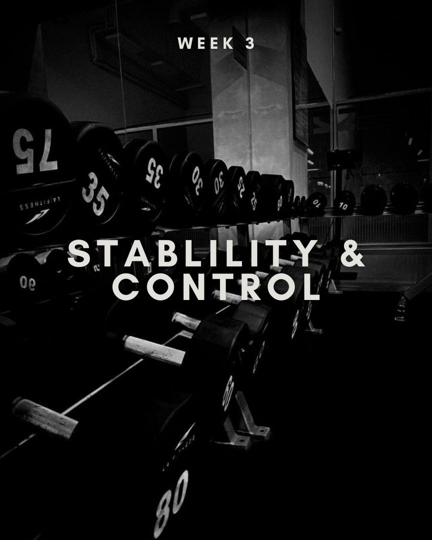 Week 3 – Upper Body Workout #2: Stability & Control