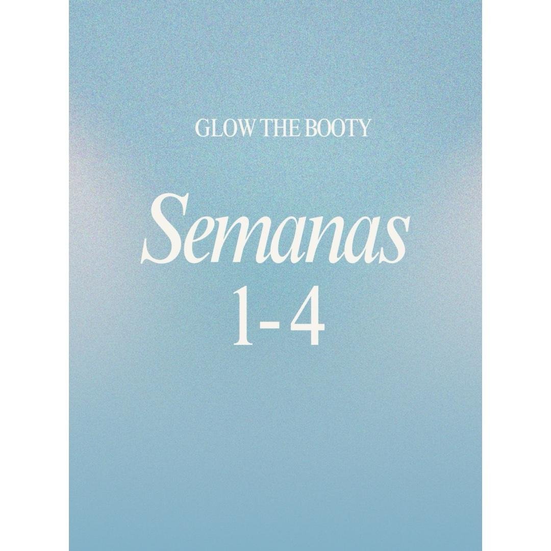 Semanas 1 a 4