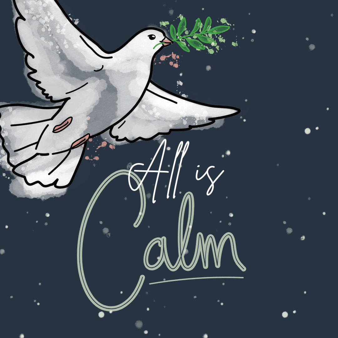 Day 3: All Is Calm...🌙