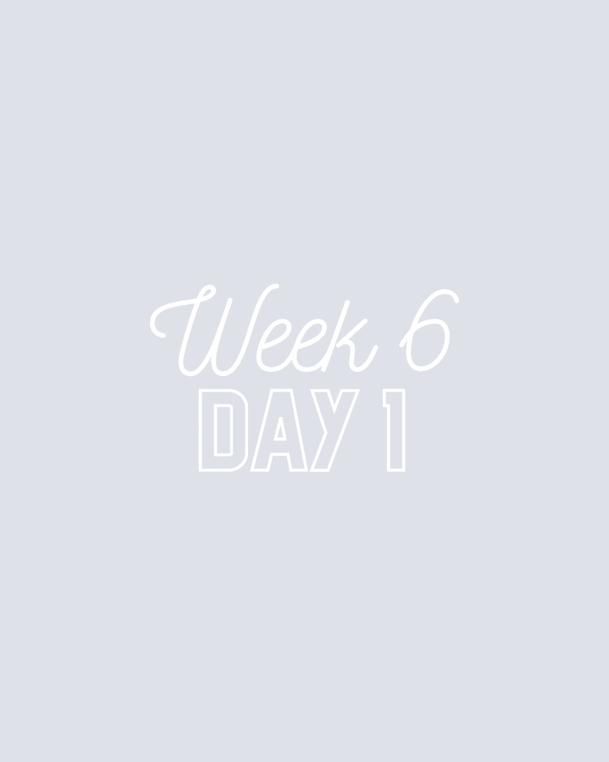 Week 6 | Day 1 