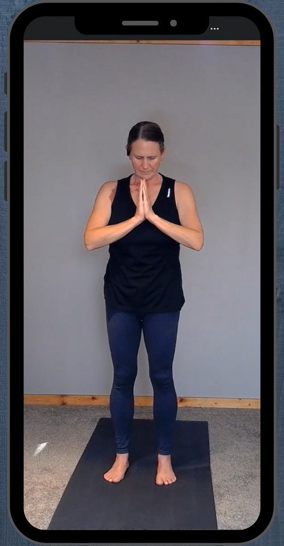 Video Workouts in the app