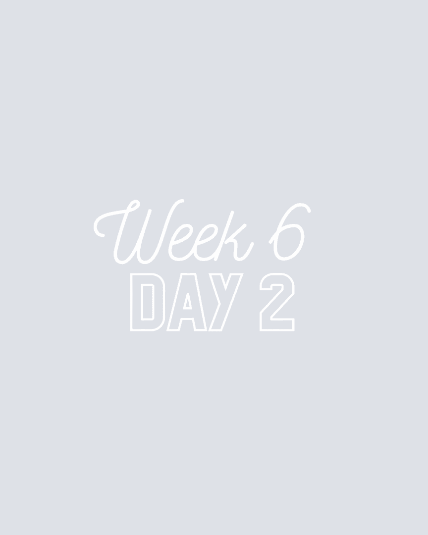 Week 6 | Day 2 
