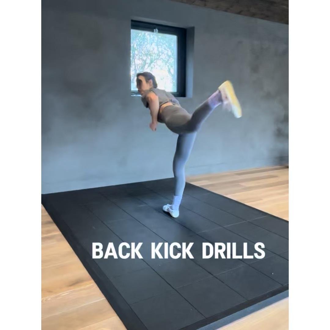 Back Kick Drills