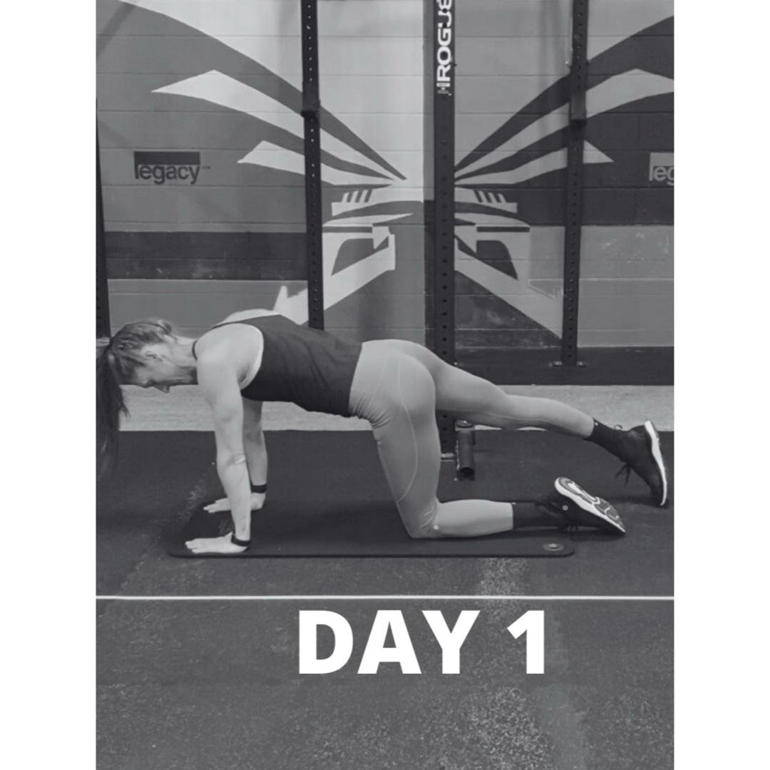Day 1