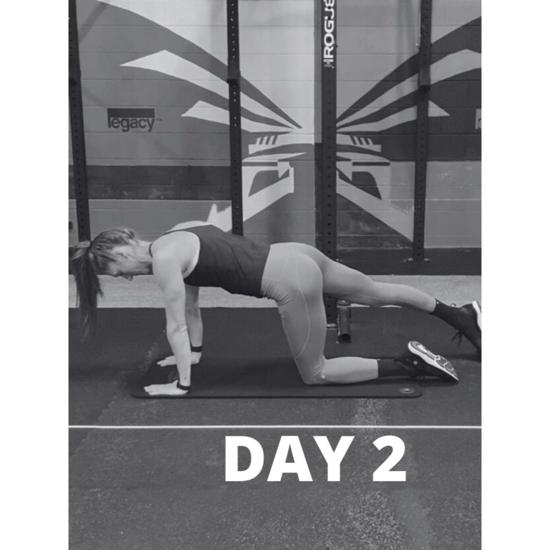 Day 2