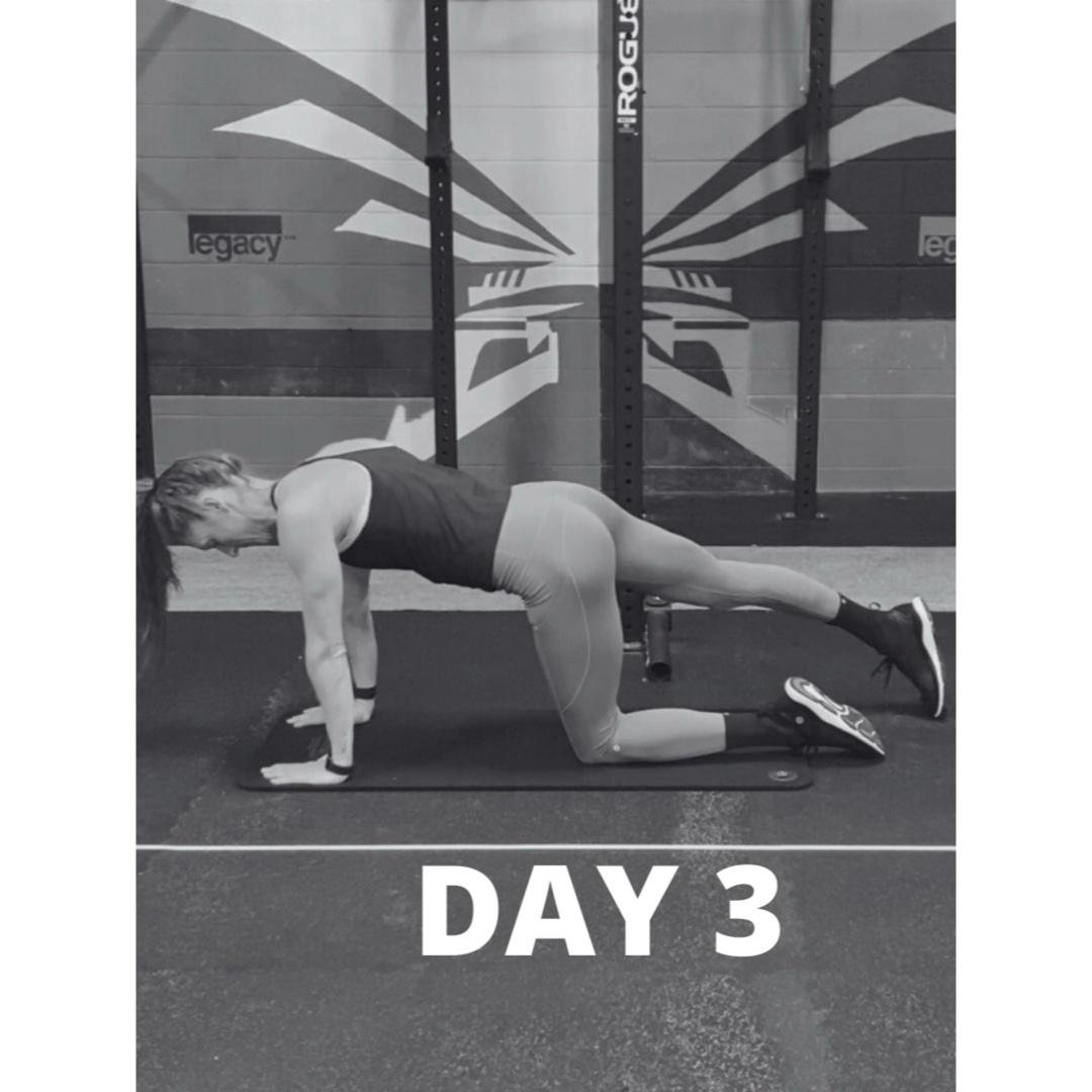 Day 3
