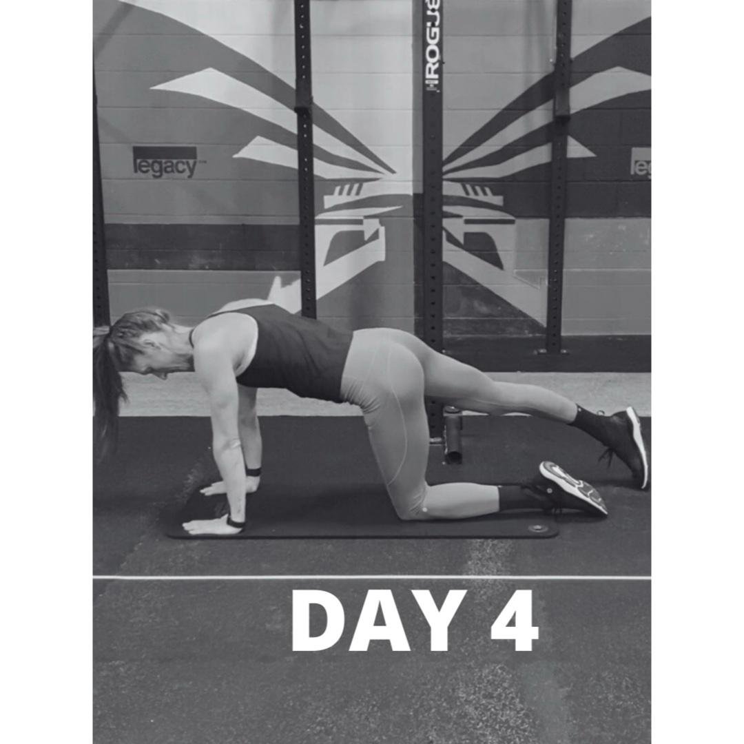 Day 4