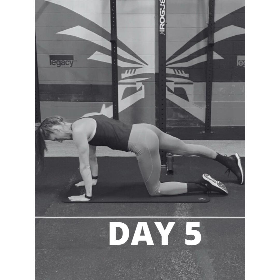 Day 5