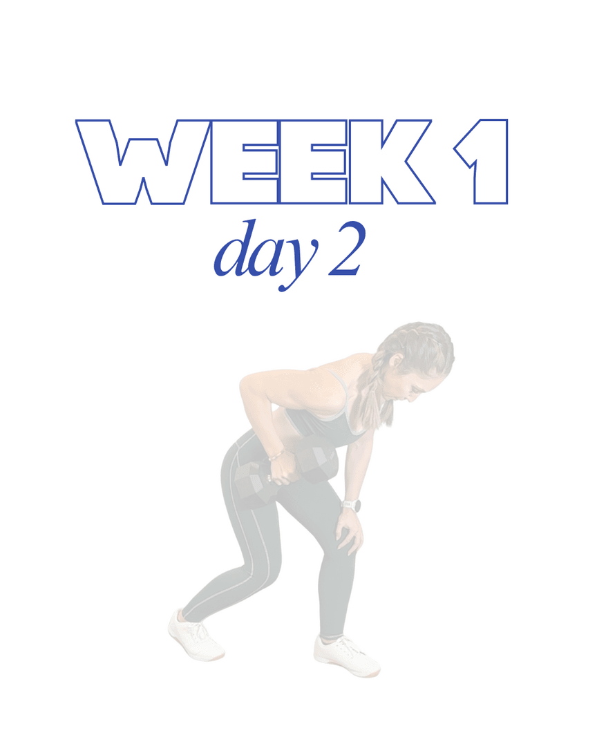 Full Body Series: Week 1, Workout 2