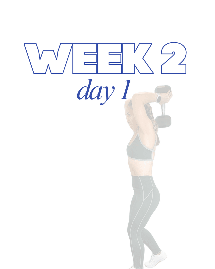 Full Body Series: Week 2, Workout 1