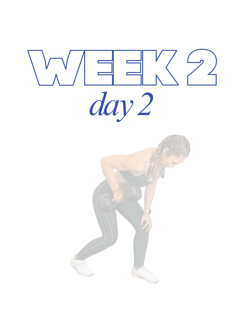 Full Body Series: Week 2, Workout 2