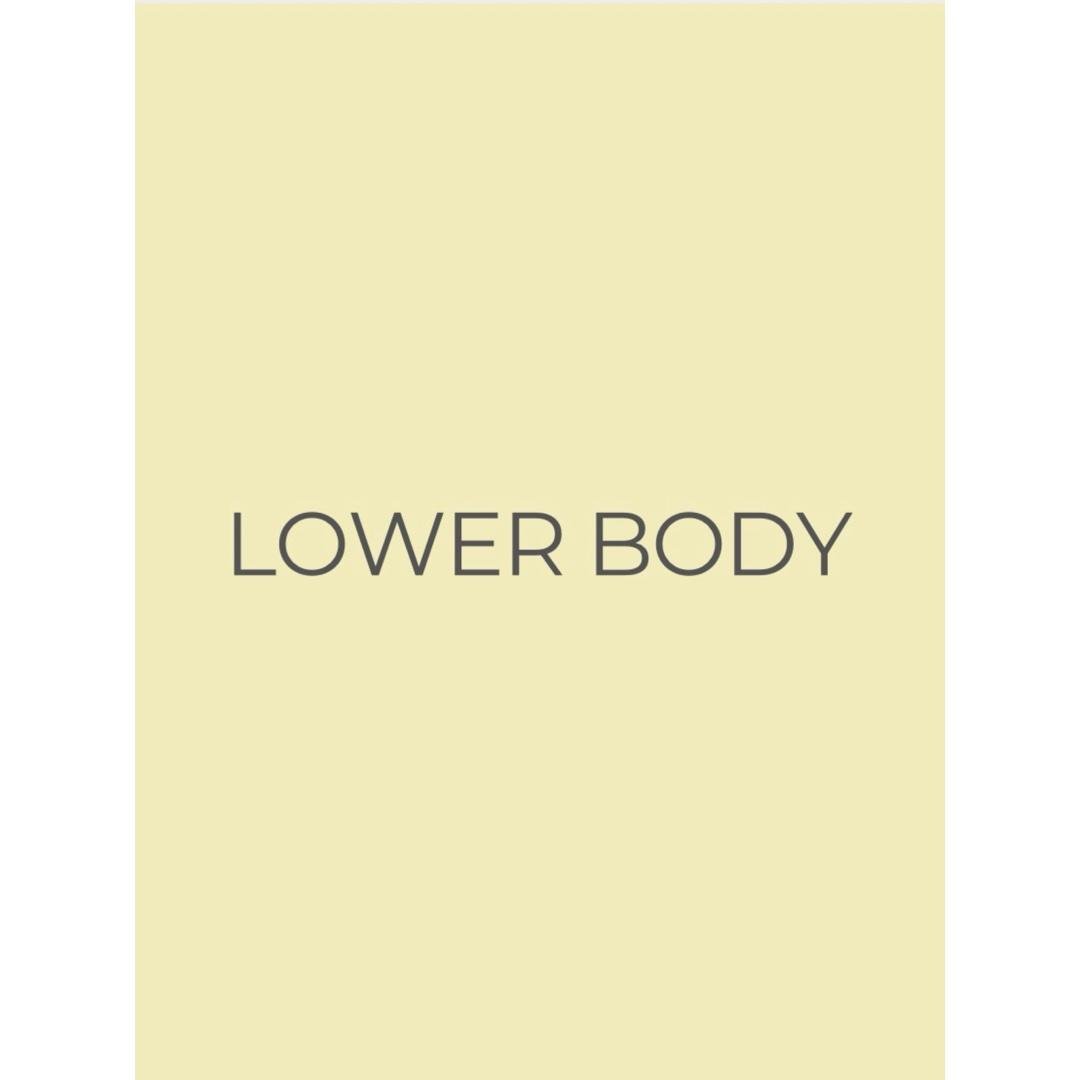 W1/D3- LOWER BODY