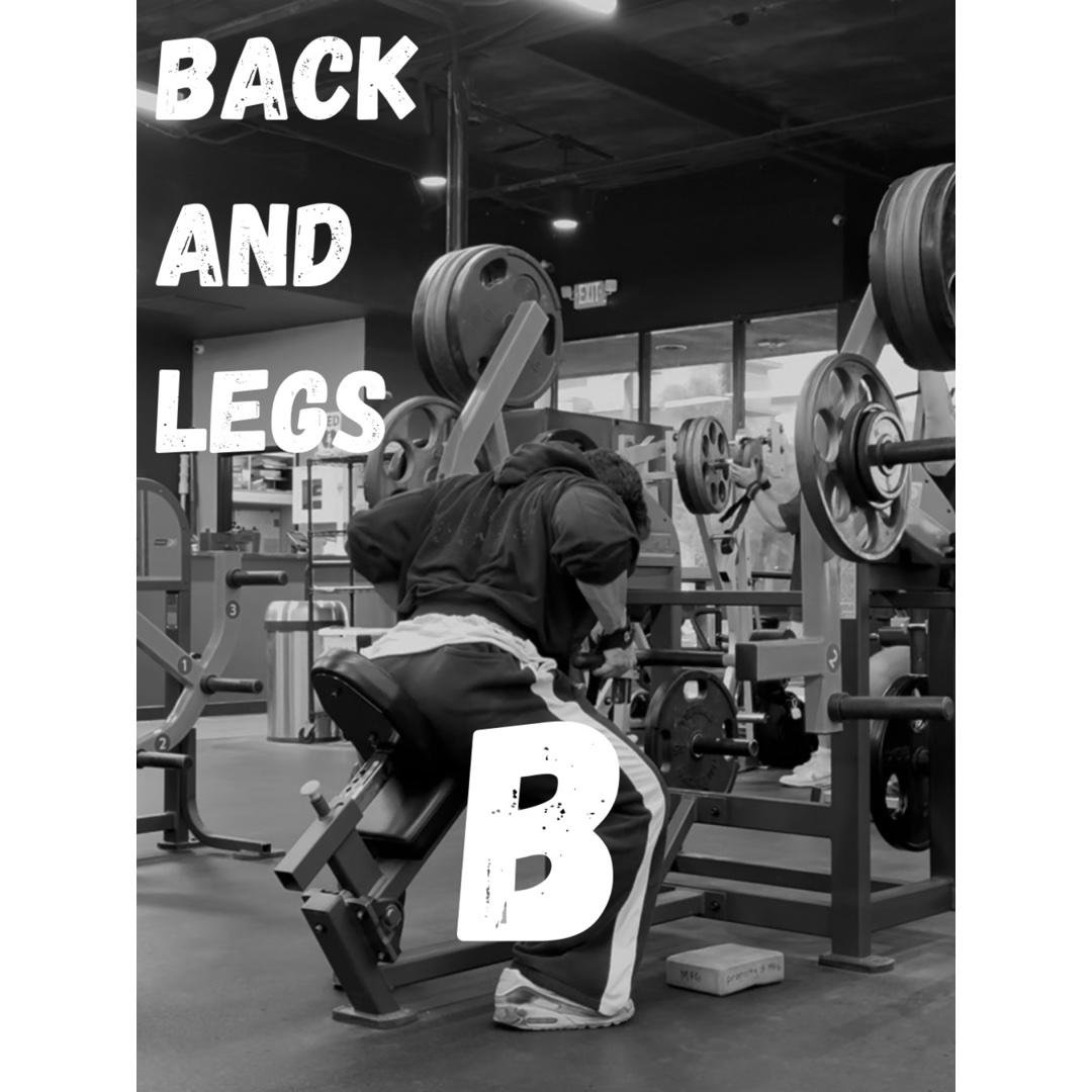 Back and Legs B