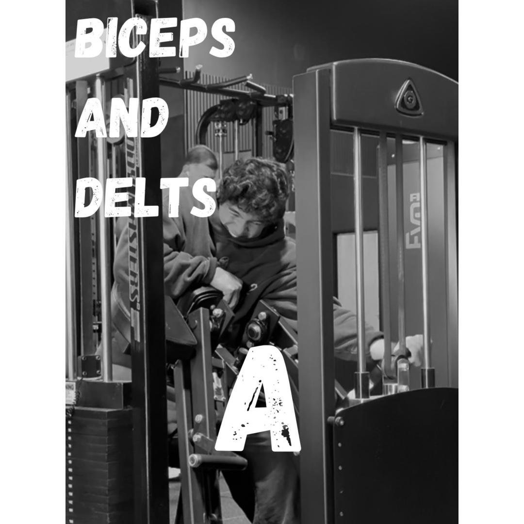 Biceps and Delts A