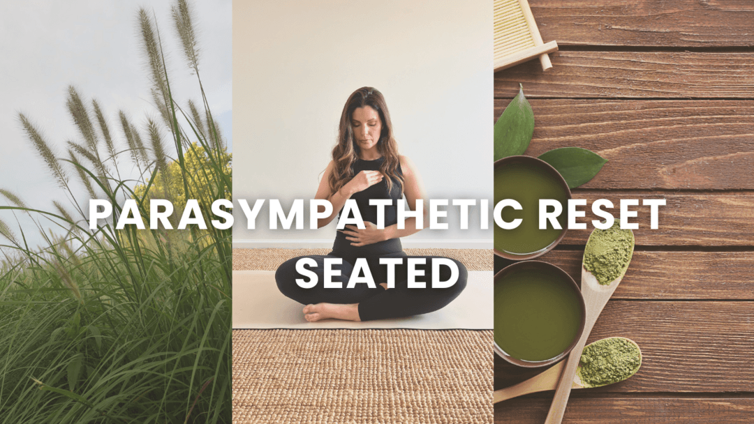 Parasympathetic Reset Seated