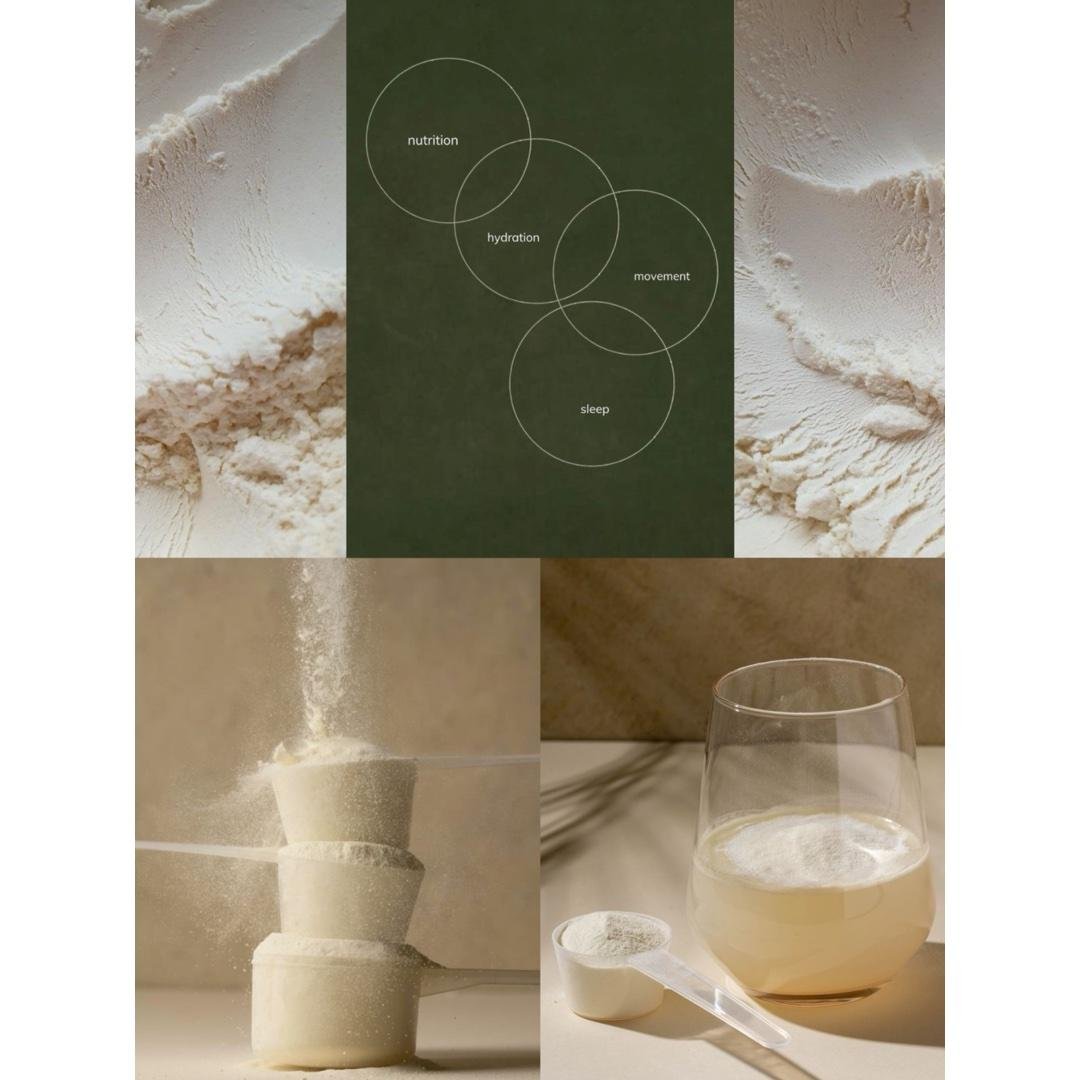 FITNESS SUPPLEMENTS GUIDE | protein powder, creatine