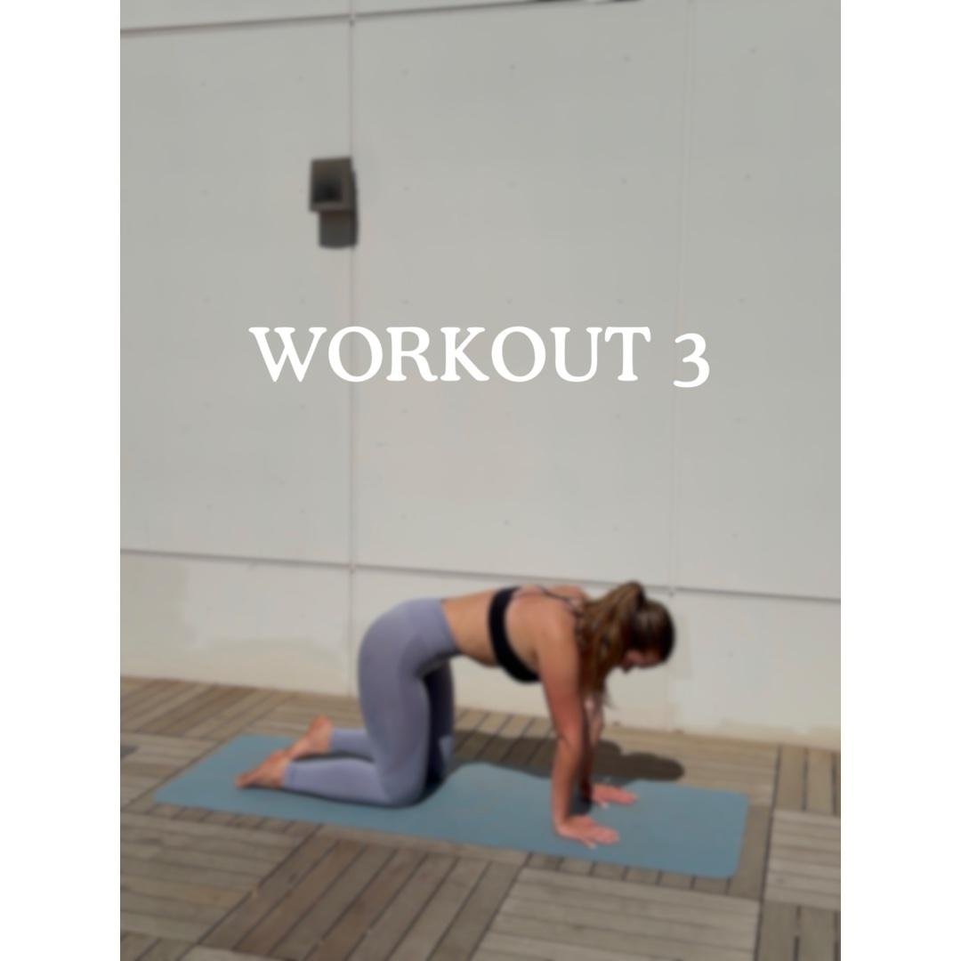 Workout 3 - Pelvic Floor & Core