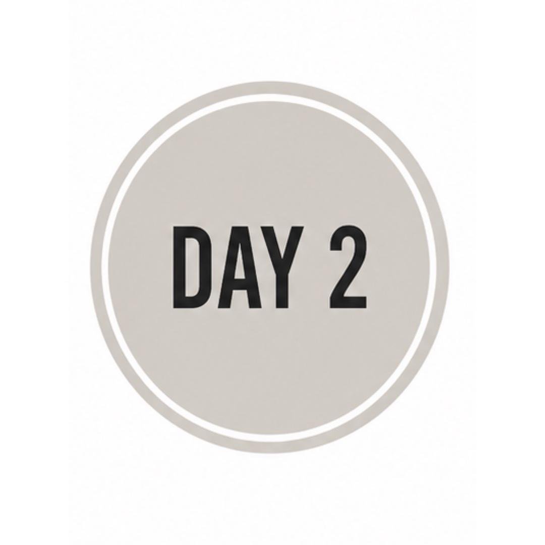 Day 2- Upper body + Conditioning