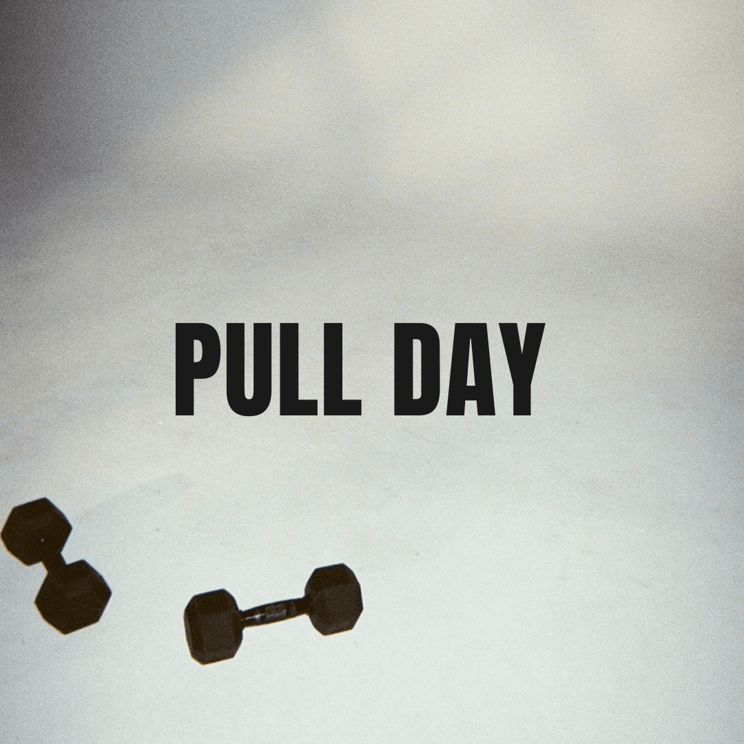 PNP - TRIAL W1D2 