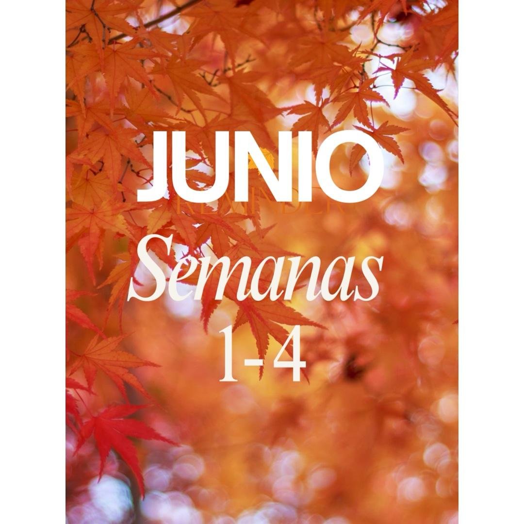 Planificación Junio 🍁✨❤️‍🔥