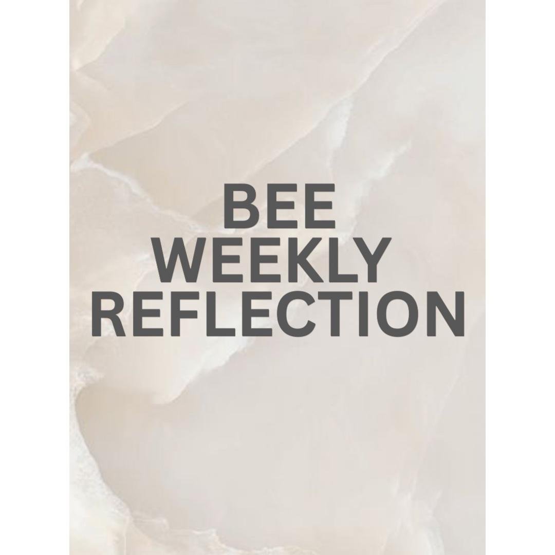 BEE Design Weekly Reflection