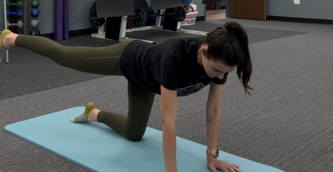 Lower back and Core