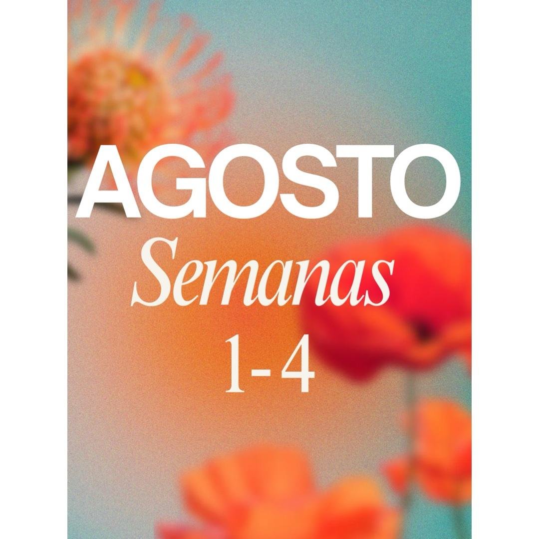 Planificación Agosto ✨🤍