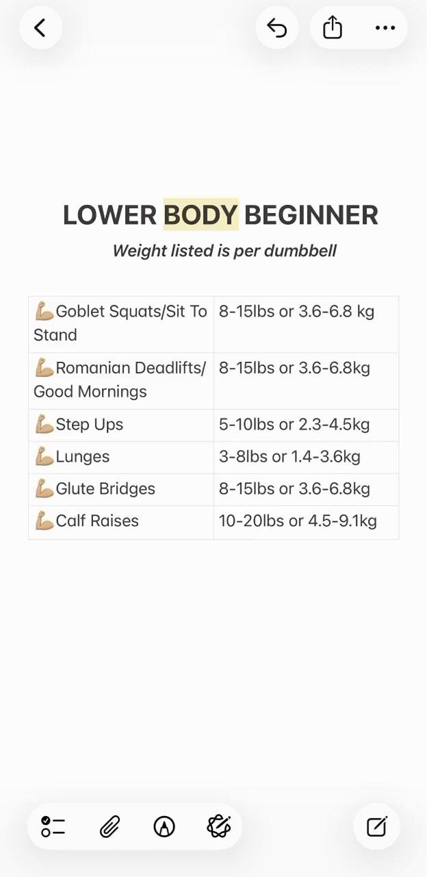 Lower Body Beginner Dumbbell Guide