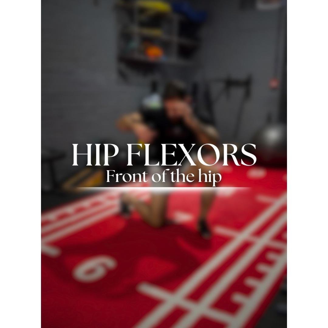 Hip Flexors (Front of Hip) – Build Mobility & Strength