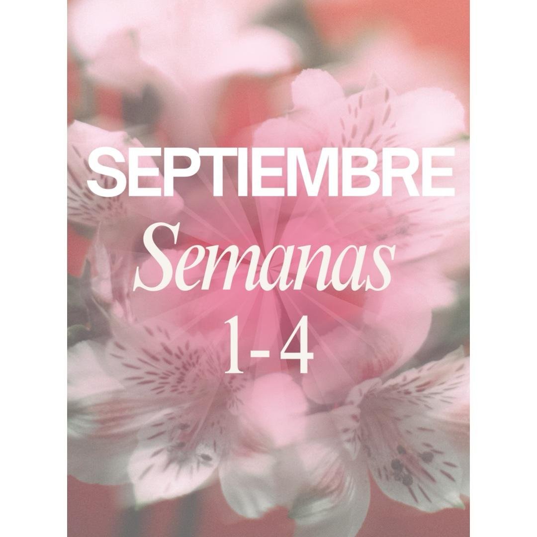 Planificación Septiembre 🌸✨
