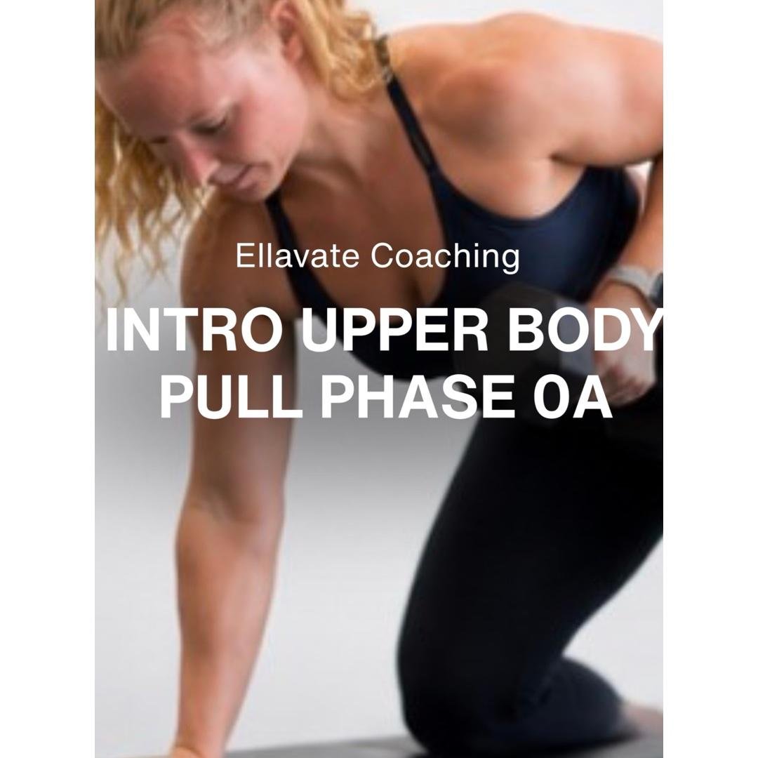 INTRO Upper Body Pull Phase 0A1